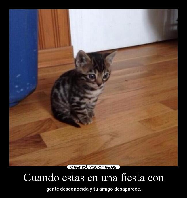 Cuando estas en una fiesta con - gente desconocida y tu amigo desaparece.