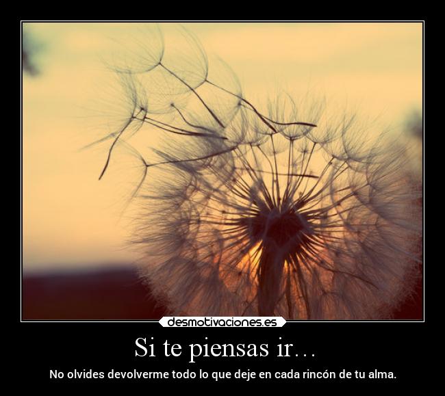 Si te piensas ir… -