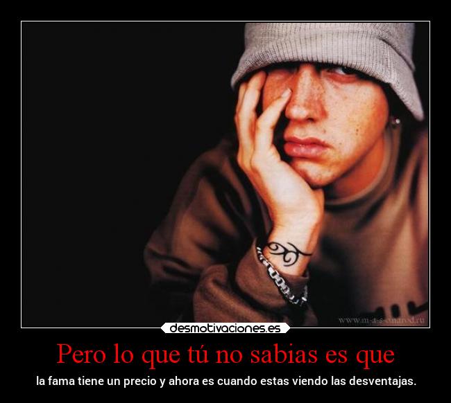 carteles frases eminem shadyem desmotivaciones