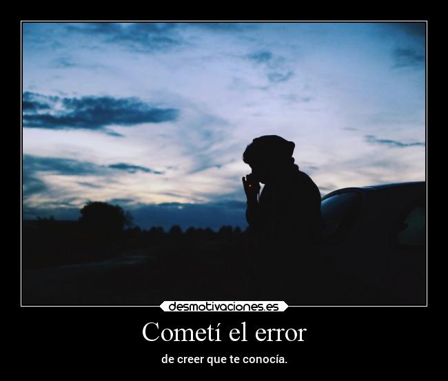 Cometí el error - de creer que te conocía.