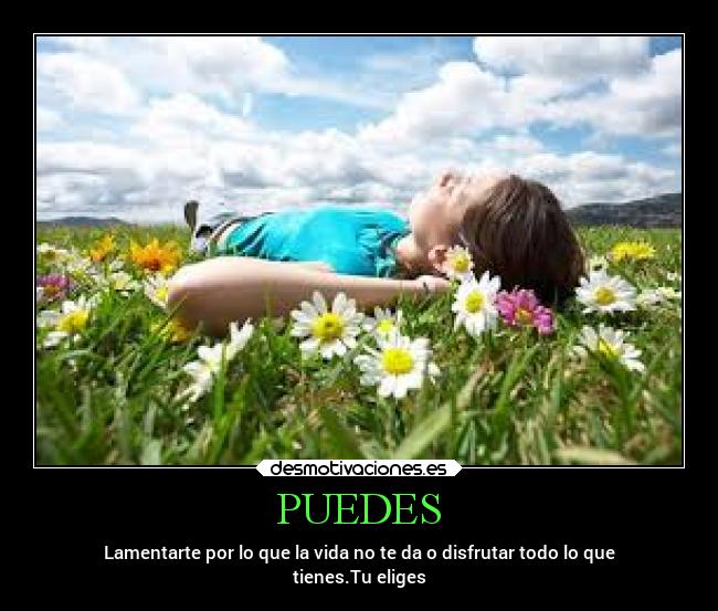 PUEDES -