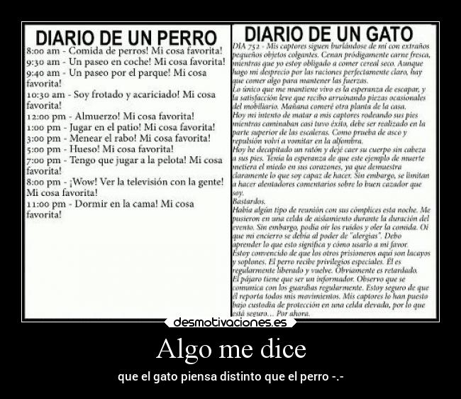 Algo me dice -