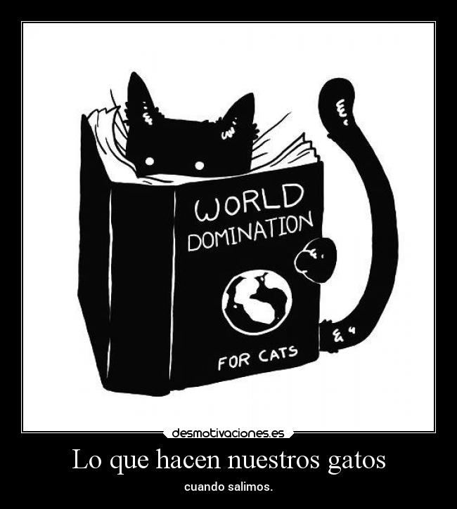 Lo que hacen nuestros gatos - cuando salimos.