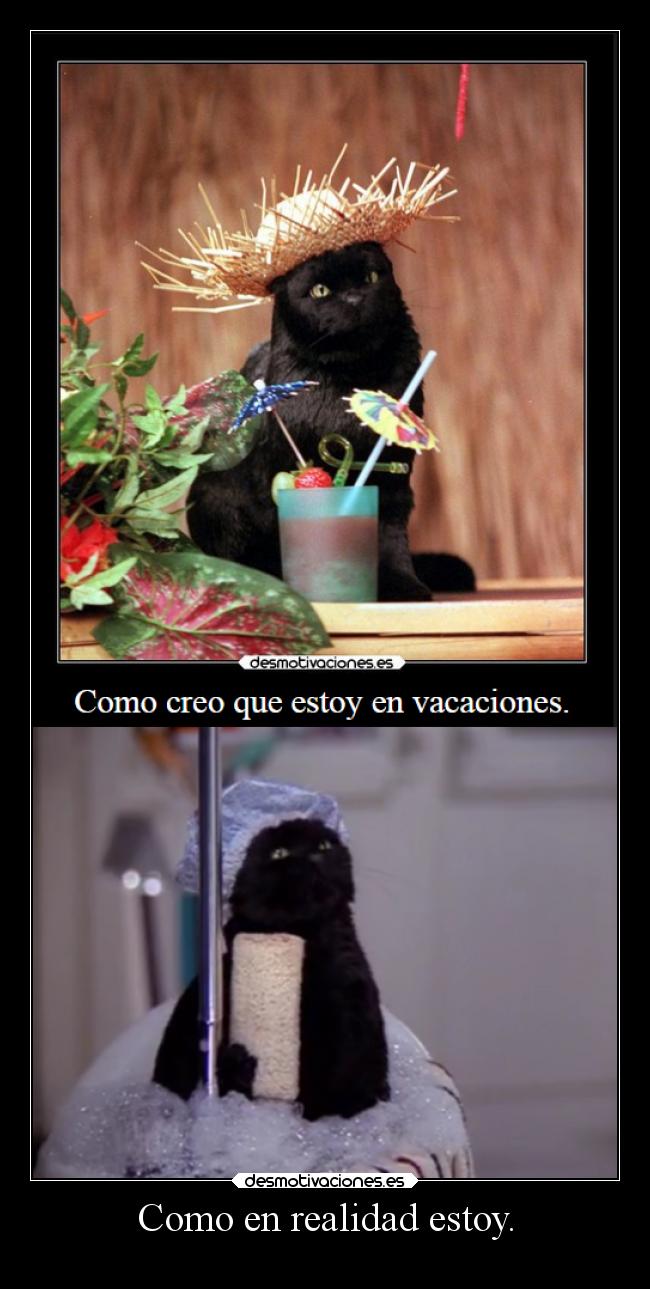 Como en realidad estoy. -