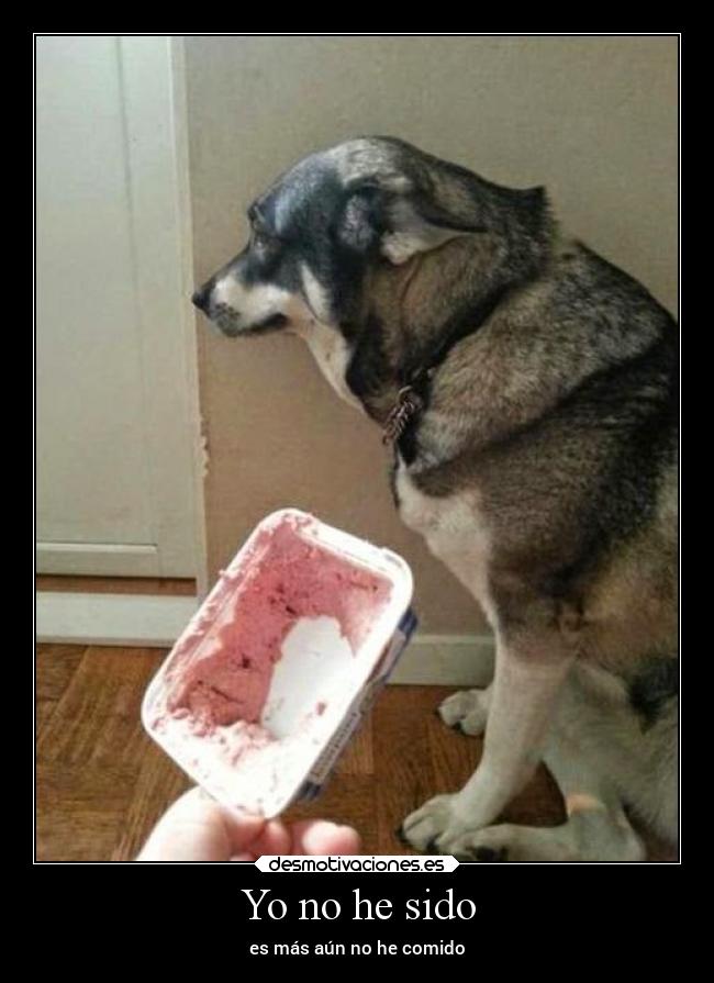 Yo no he sido - es más aún no he comido