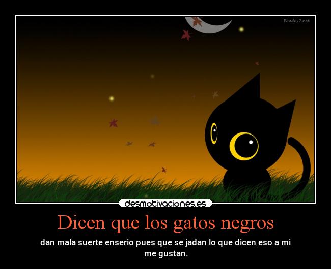 Dicen que los gatos negros - dan mala suerte enserio pues que se jadan lo que dicen eso a mi
me gustan.