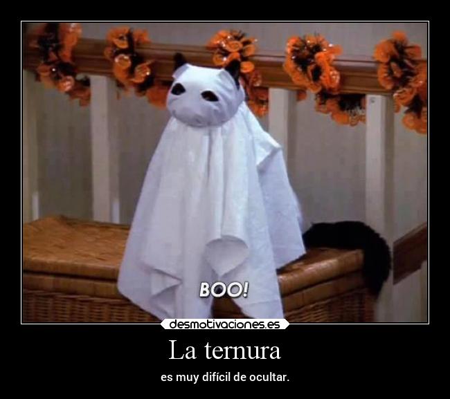 La ternura - es muy difícil de ocultar.