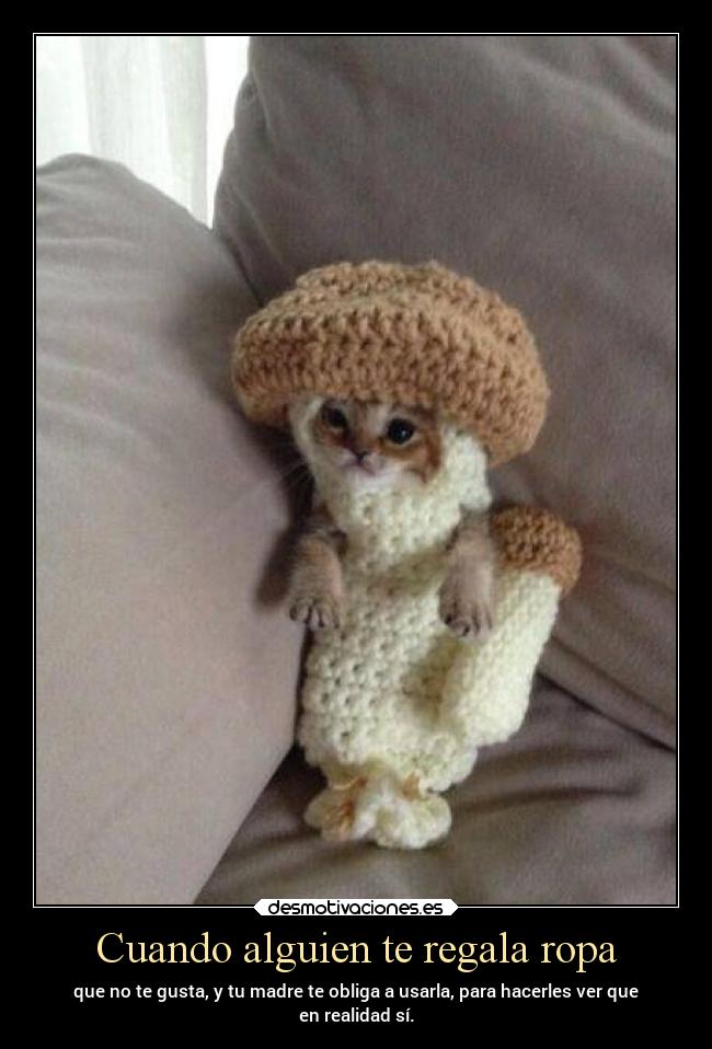 carteles gatos vida mariobros hongo desmotivaciones