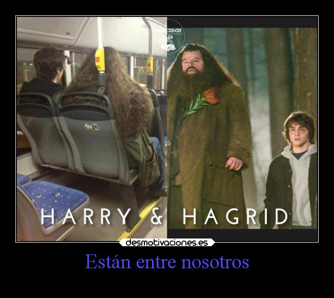 Están entre nosotros -