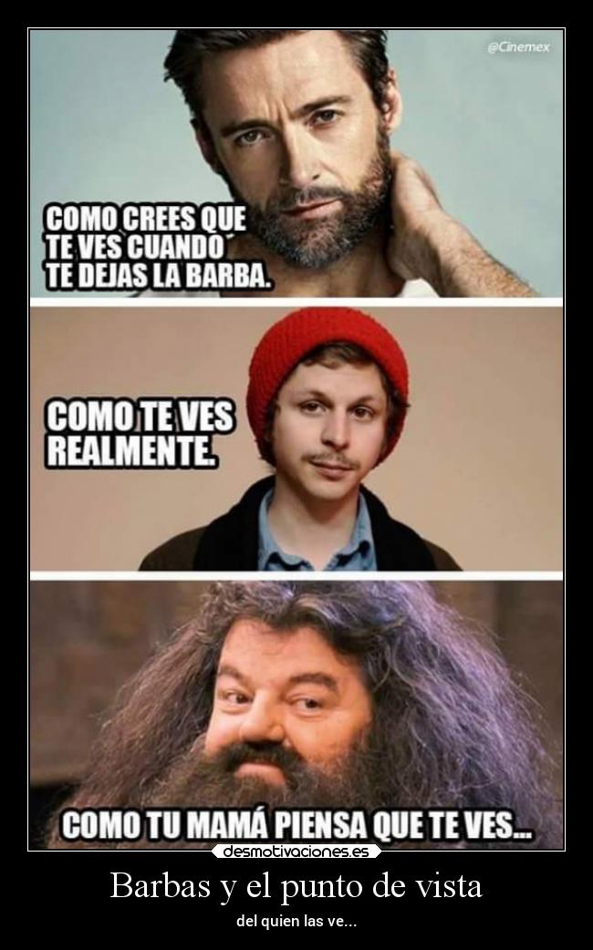 carteles guerra confianza sociedad familia memes humor tonto laurasimpson11 barbas desmotivaciones