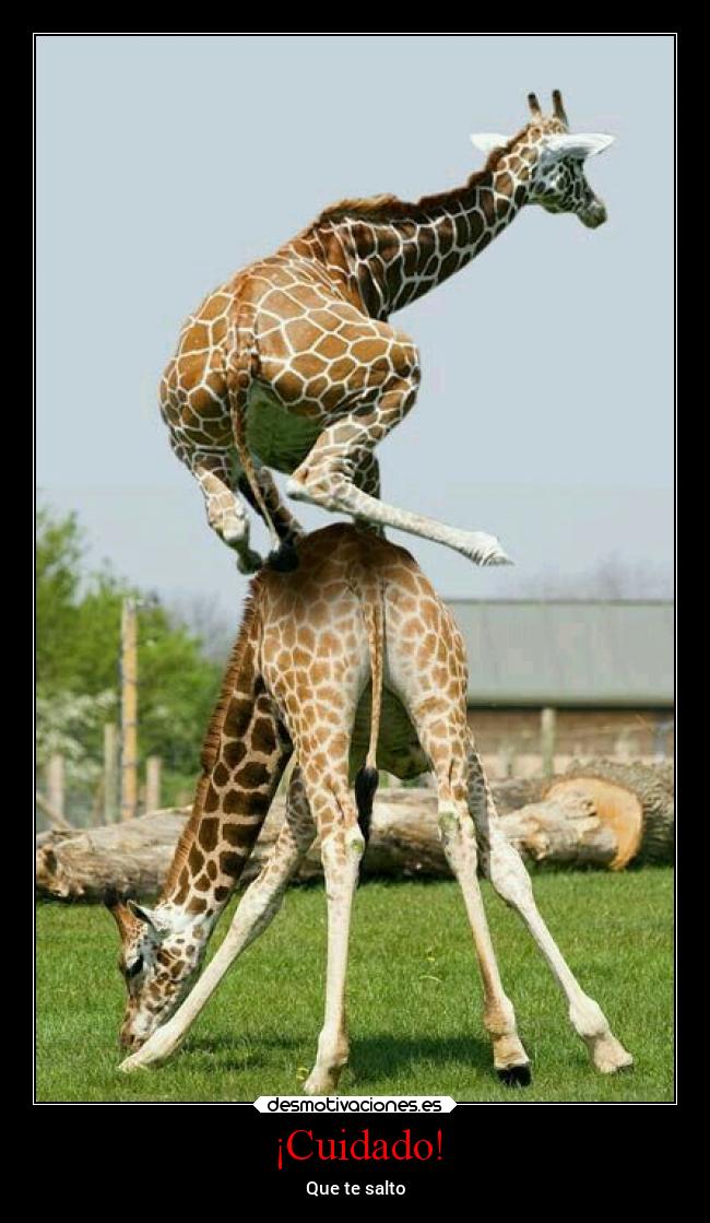 ¡Cuidado! - Que te salto