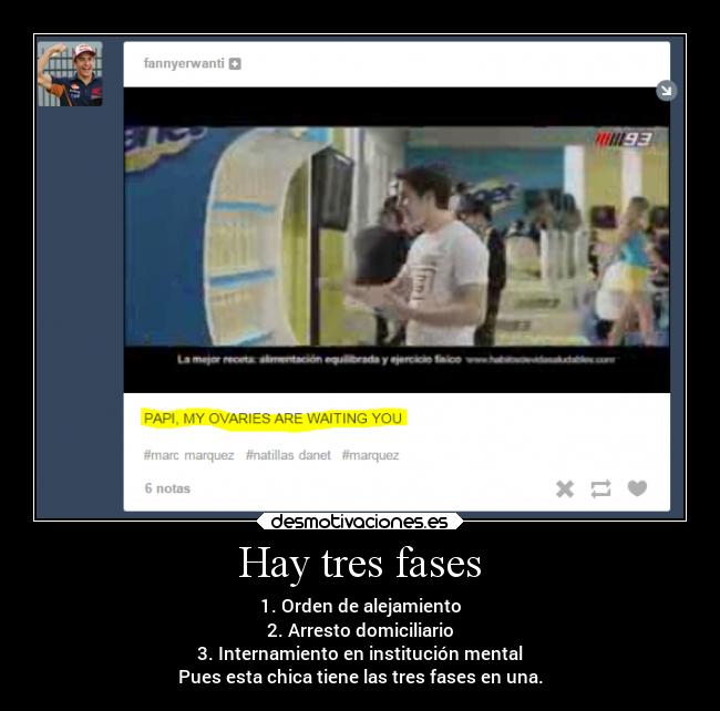 Hay tres fases - 1. Orden de alejamiento
2. Arresto domiciliario
3. Internamiento en institución mental
Pues esta chica tiene las tres fases en una.