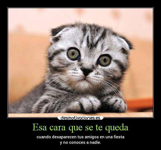 Esa cara que se te queda - cuando desaparecen tus amigos en una fiesta
y no conoces a nadie.