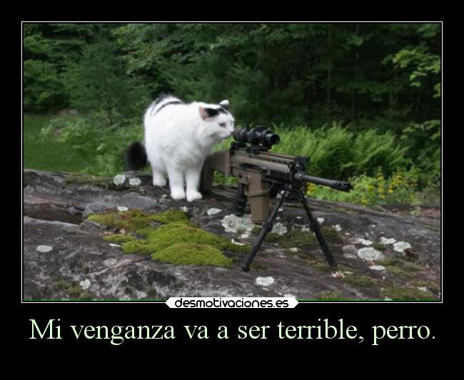 carteles humor graciosas gatos venganza terrible lluwuachu rilacs desmotivaciones