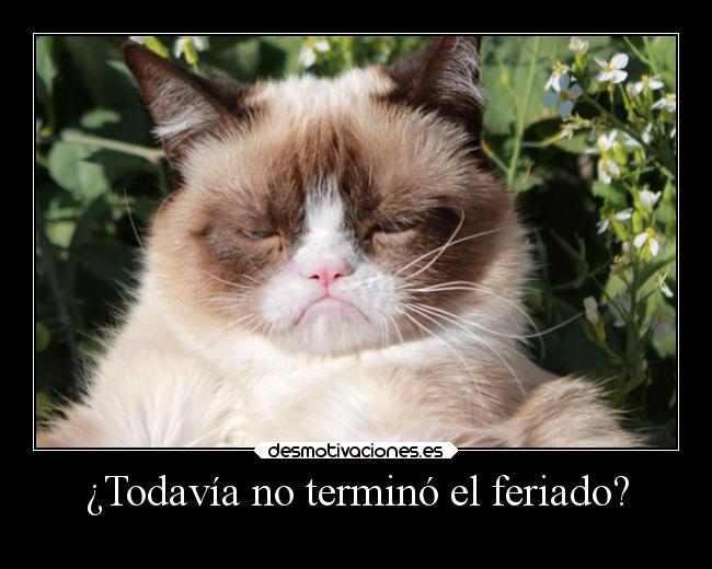 carteles humor slipkdemon clandesplazado feriado grumpycat desmotivaciones