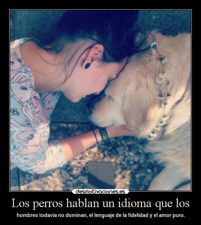 Los perros hablan un idioma que los - 