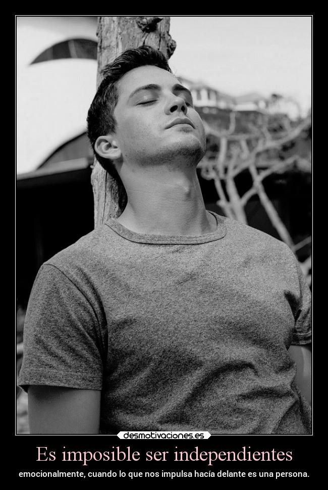 carteles imposible alma johanvides loganlermanidolo plumaaladeriva jvxd mydoglimber desmotivaciones