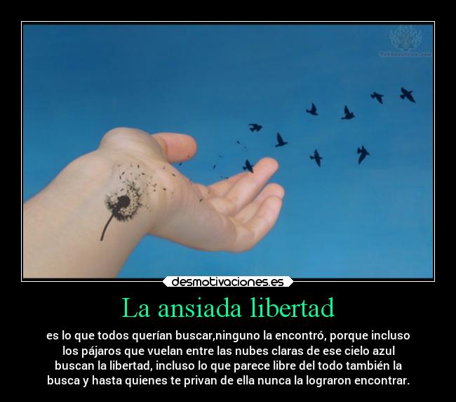 carteles libertad libertad busqueda nadielalogroencontrar desmotivaciones