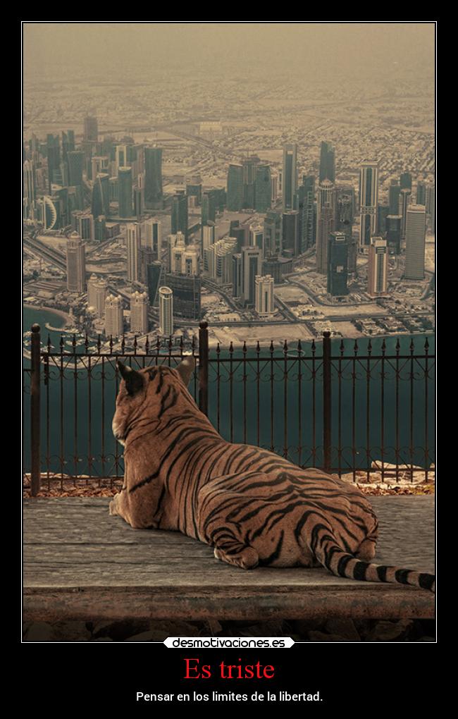 Es triste - Pensar en los limites de la libertad.