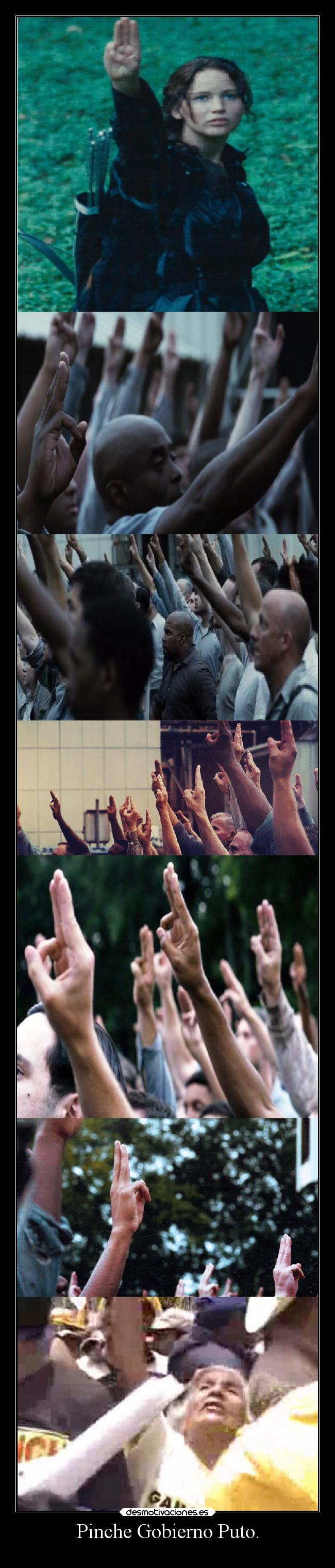 Pinche Gobierno Puto. -