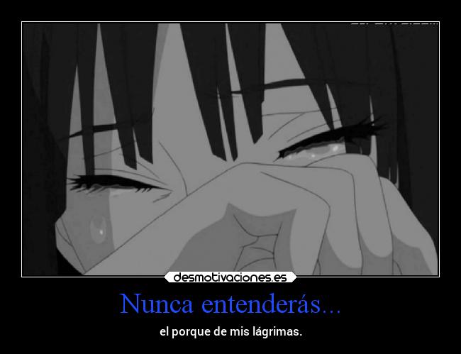 Nunca entenderás... - 