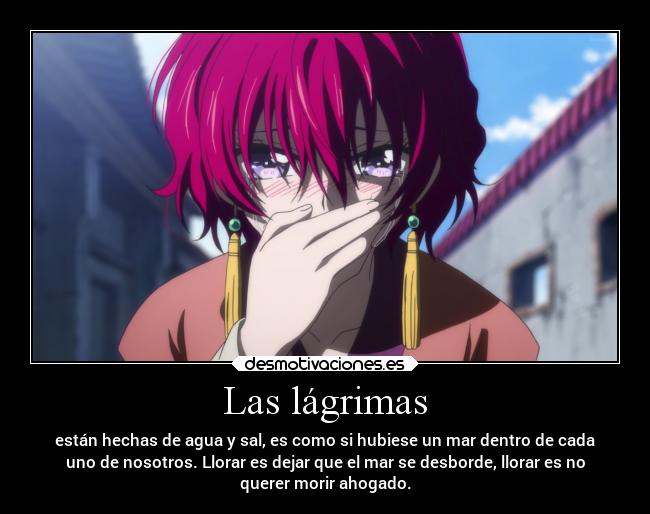 Las lágrimas - están hechas de agua y sal, es como si hubiese un mar dentro de cada
uno de nosotros. Llorar es dejar que el mar se desborde, llorar es no
querer morir ahogado.