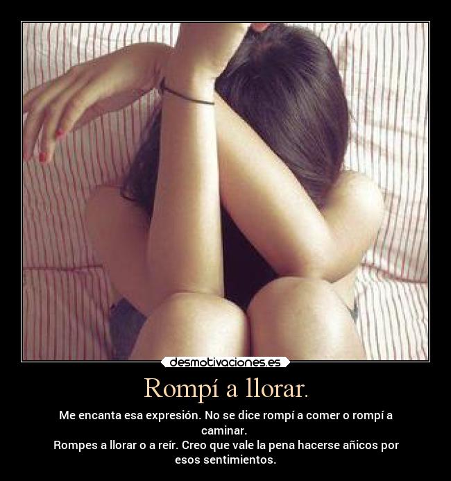 Rompí a llorar. -