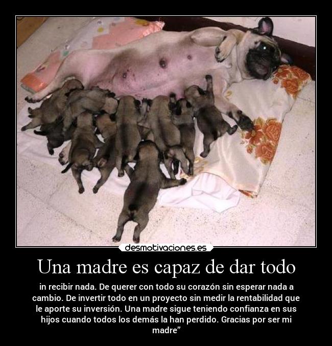 carteles madre madre desmotivaciones