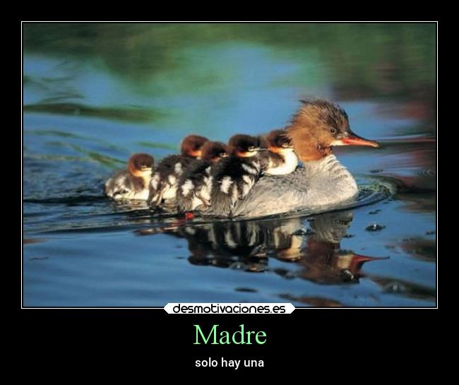 Madre -