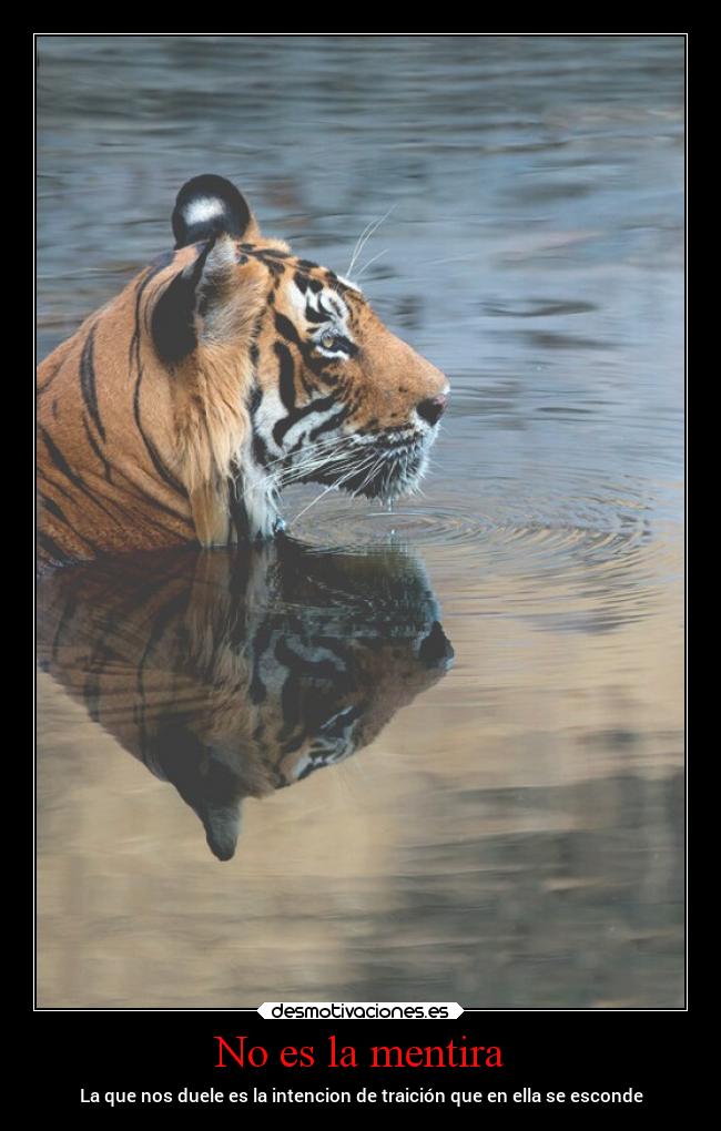 No es la mentira - La que nos duele es la intencion de traición que en ella se esconde