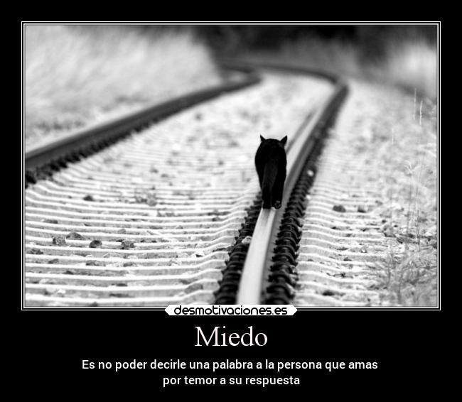 Miedo -
