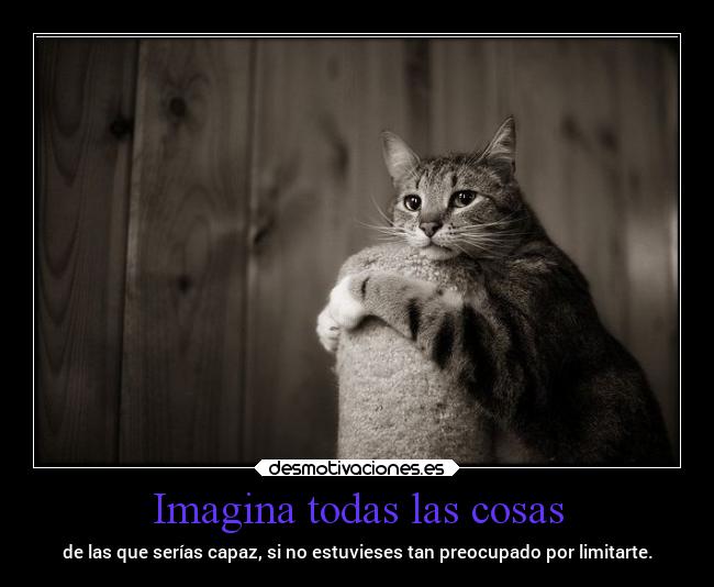 Imagina todas las cosas -