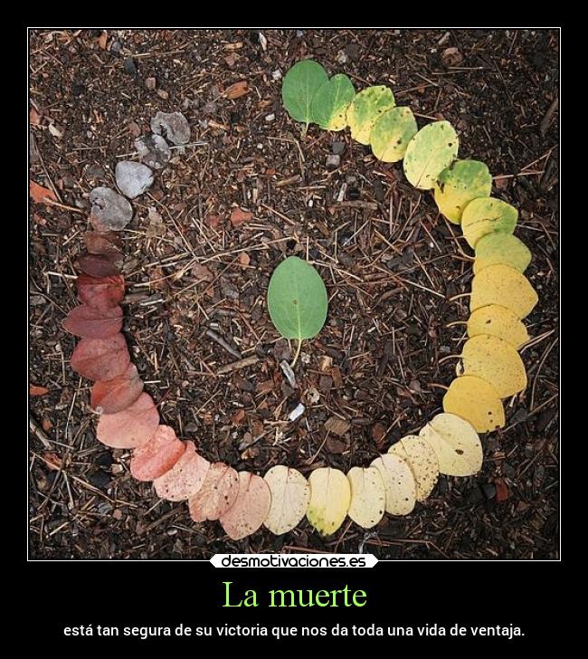carteles muerte muerte vida ventaja victoria seriamuyestupidodesperddiciarla dar desmotivaciones