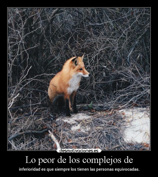 carteles muerte zorro zorra zorrito zorrote inferioridad equivocado unateohiendoamisa bosque desmotivaciones