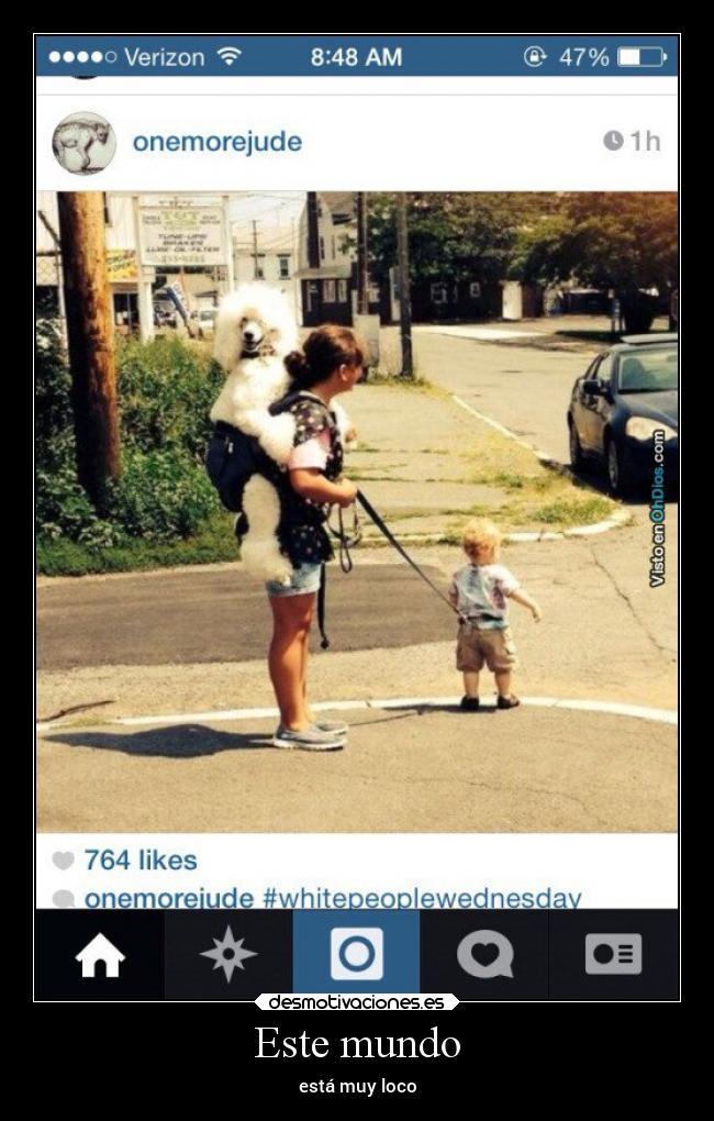 carteles mundo locura desmotivaciones