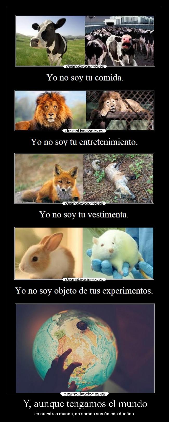 carteles mundo naturaleza animales vida zarcortgame clanfhag clanjuais desmotivaciones