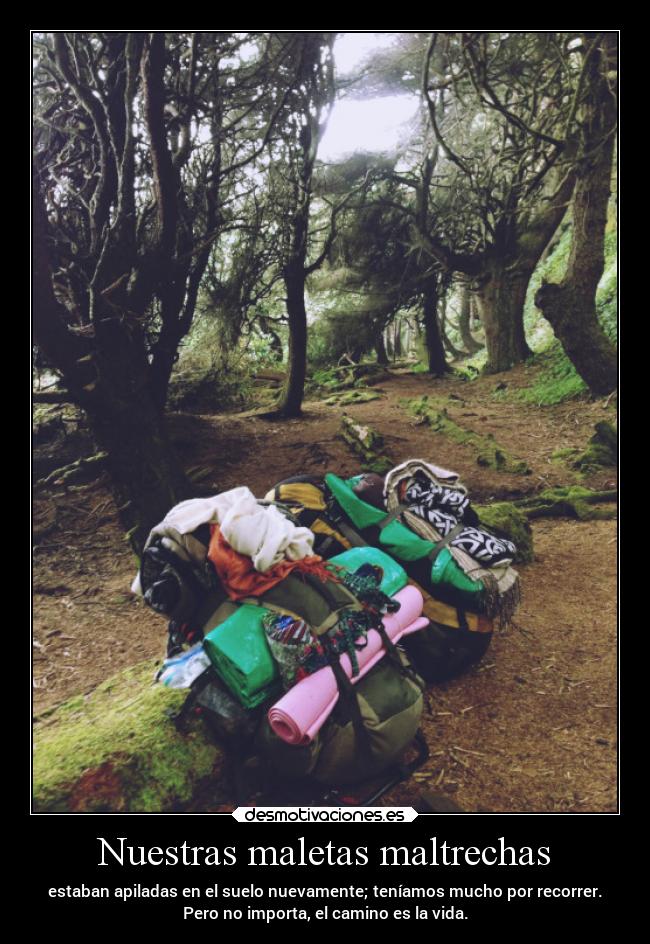 Nuestras maletas maltrechas -