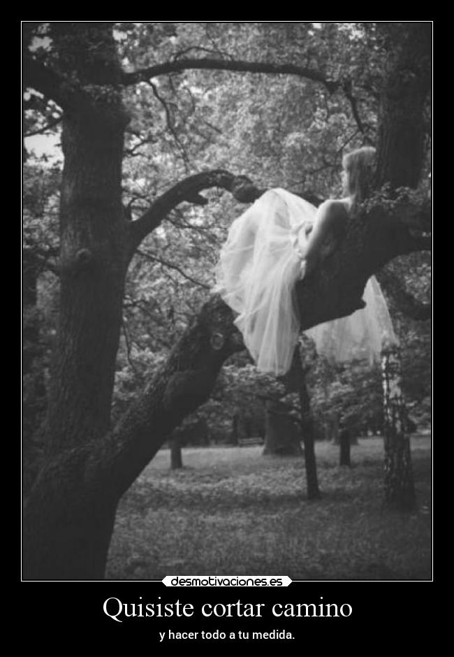 Quisiste cortar camino - 