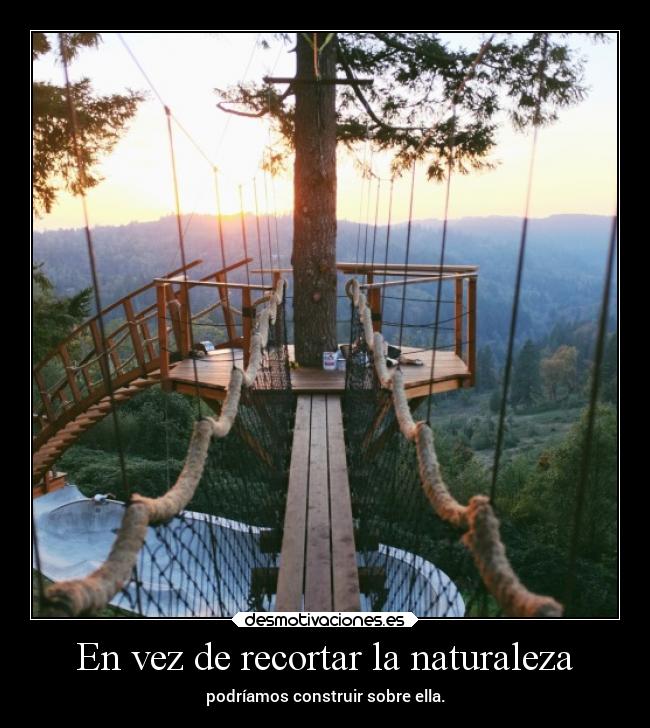 carteles naturaleza alma max reflexiones desmotivaciones