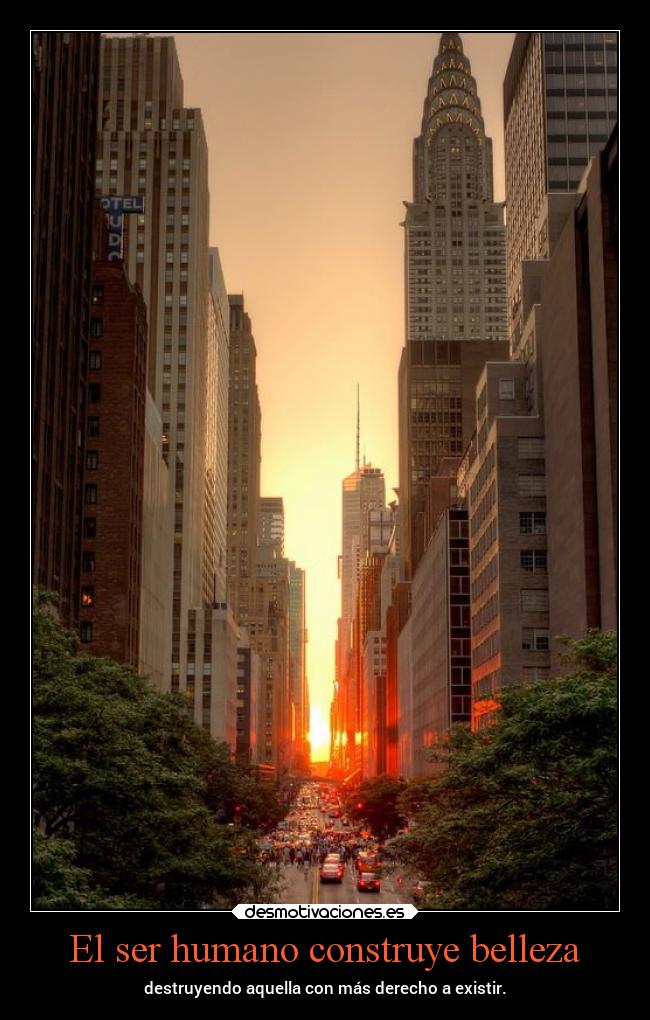 carteles naturaleza mundo desmotivaciones