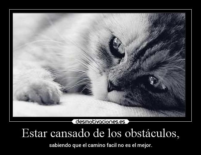 Estar cansado de los obstáculos, - sabiendo que el camino facil no es el mejor.