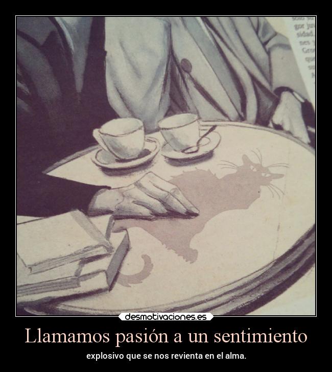 Llamamos pasión a un sentimiento - explosivo que se nos revienta en el alma.