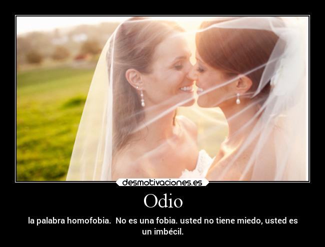 Odio - la palabra homofobia. No es una fobia. usted no tiene miedo, usted es
un imbécil.