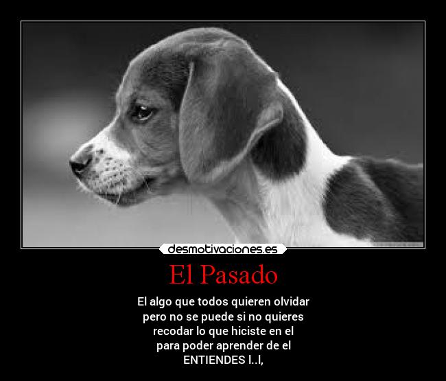 carteles pasado pasado desmotivaciones