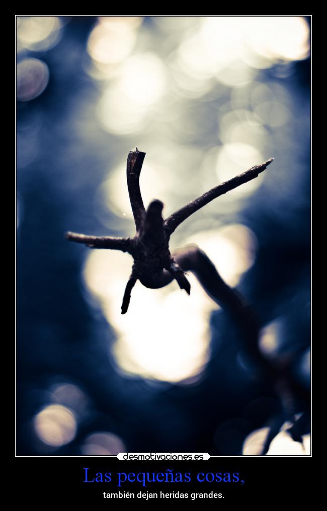 Las pequeñas cosas, -