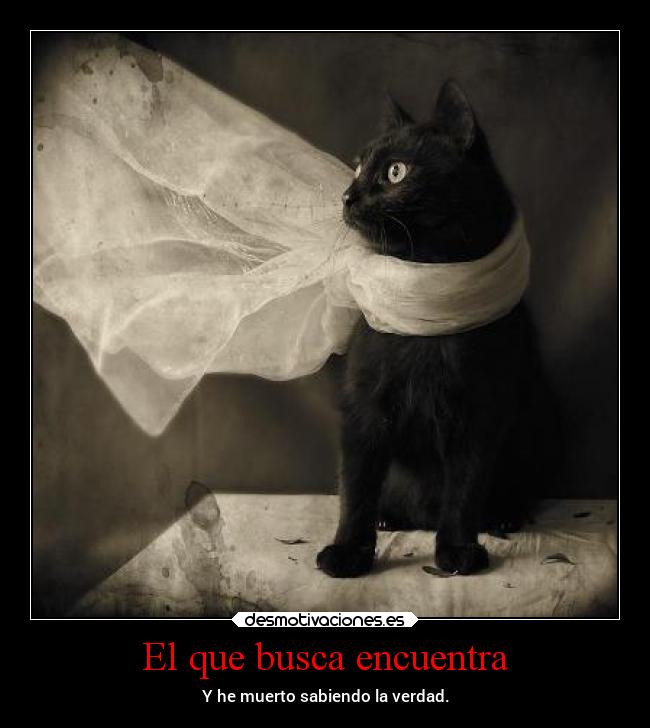 El que busca encuentra - Y he muerto sabiendo la verdad.