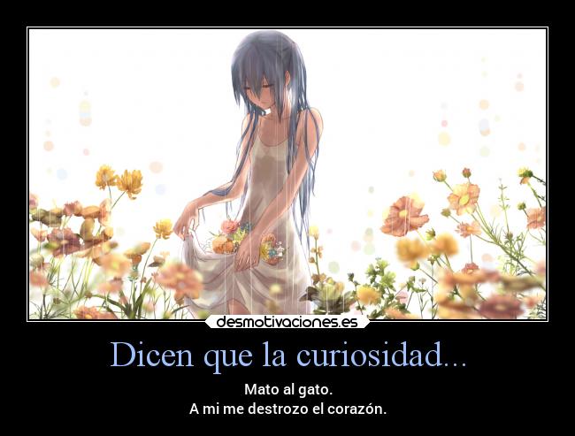 Dicen que la curiosidad... - Mato al gato.
A mi me destrozo el corazón.