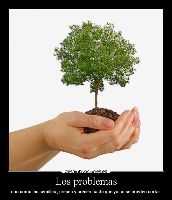 Los problemas - son como las semillas , crecen y crecen hasta que ya no se pueden cortar.