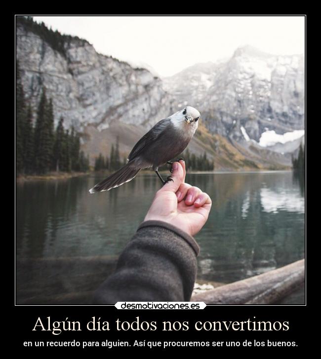 Algún día todos nos convertimos -