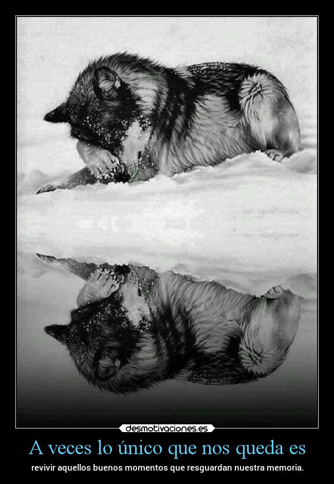 A veces lo único que nos queda es - 